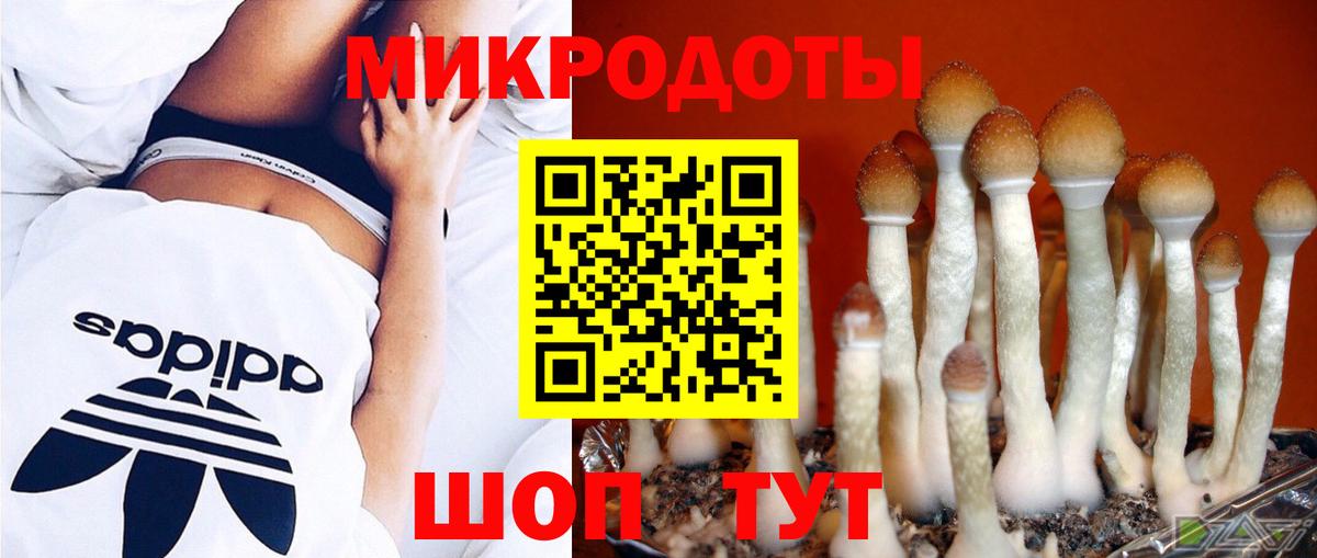 Галлюциногенные грибы мухоморы Берёзовский