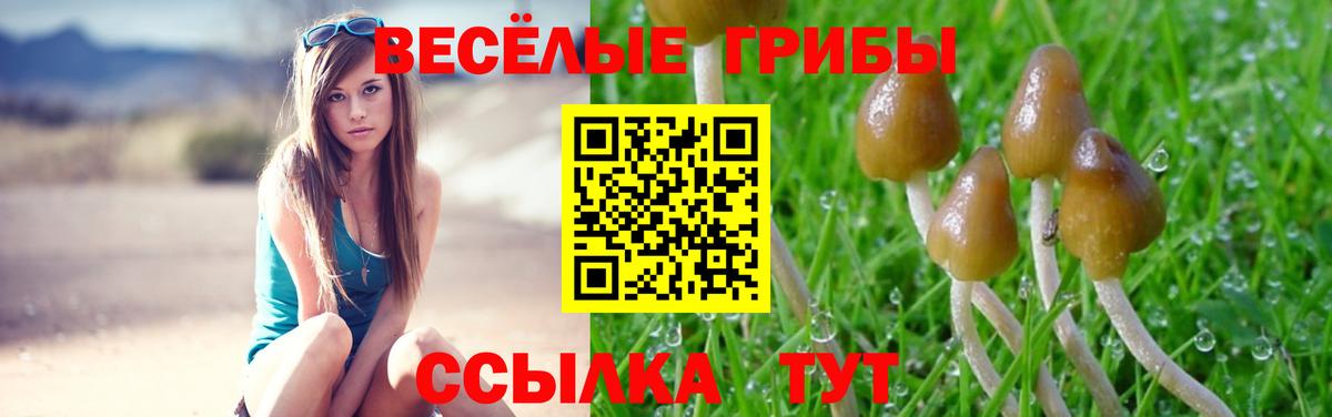 Псилоцибиновые грибы GOLDEN TEACHER  Вход с VPN  Берёзовский 